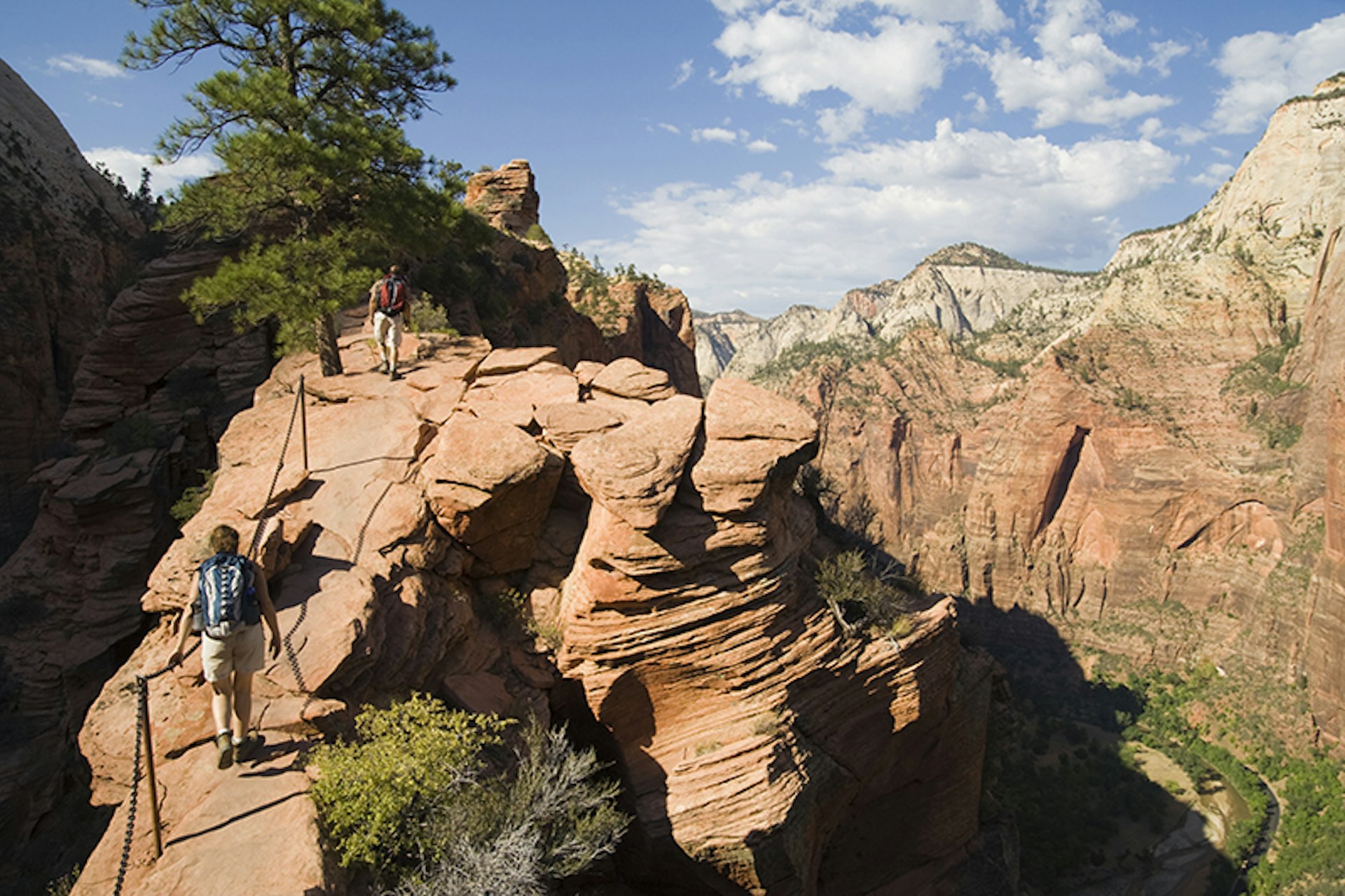 Angel's Landing Trail at Zion National Park. Photo by Ethan Welty / Getty Images.
