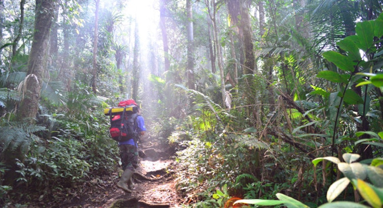 Hiking on the forested slopes of Gunung Tujuh, Kerinci Seblat National Park, Sumatra. Image by Mark Eveleigh