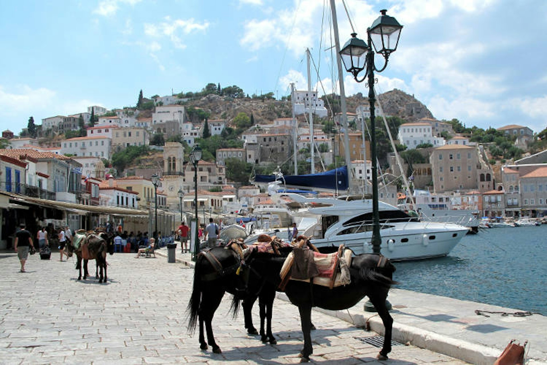 Famous donkeys in Hydra’s port. Image by Francisco Anzola / CC BY 2.0