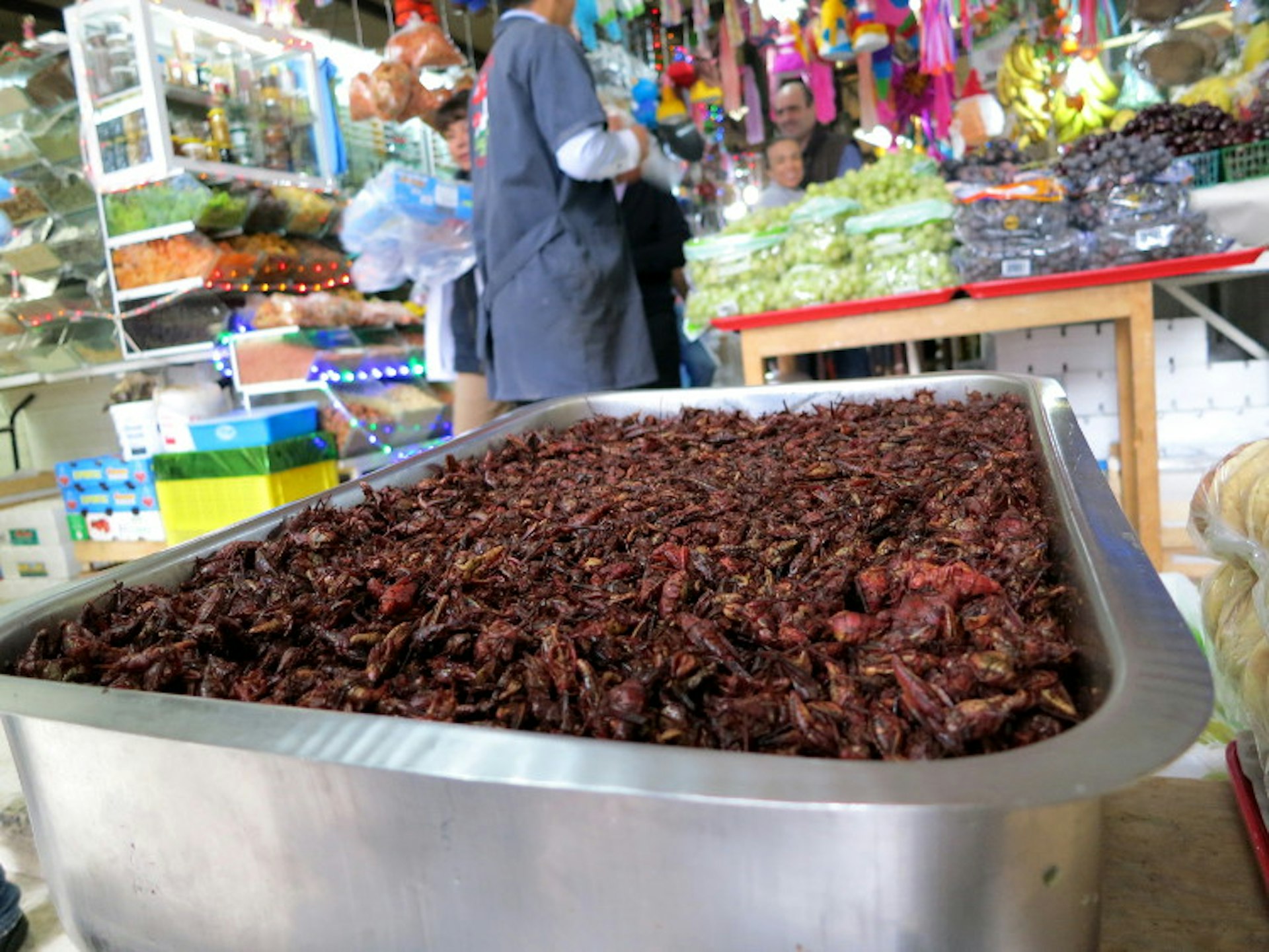 Insects for lunch? Anyone? Anyone? Image by John Hecht / Lonely Planet