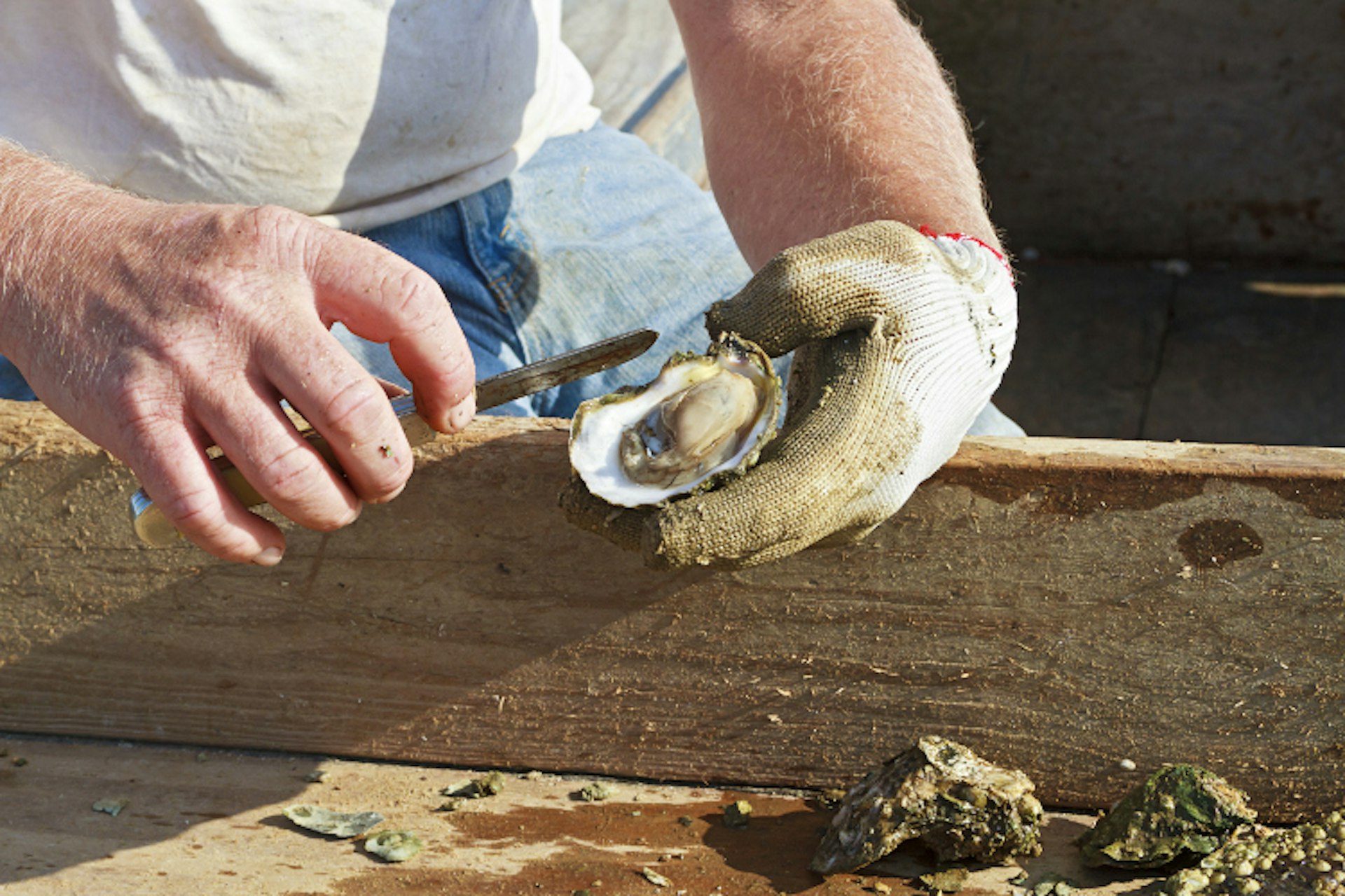 Shucking Apalachicola oysters. Image by Yvette Cardozo / Photolibrary / Getty