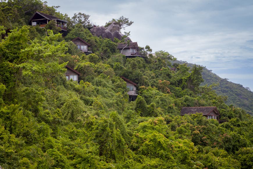 Nestled into the jungle: Earthly Paradise. Image by Dora Whitaker / Lonely Planet