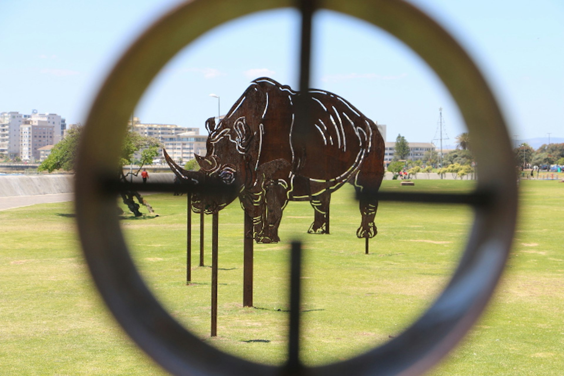 Rhinoceros by Andre Carl van der Merwe; In the distance a steel cutout rhinoceros sits in the crosshairs.