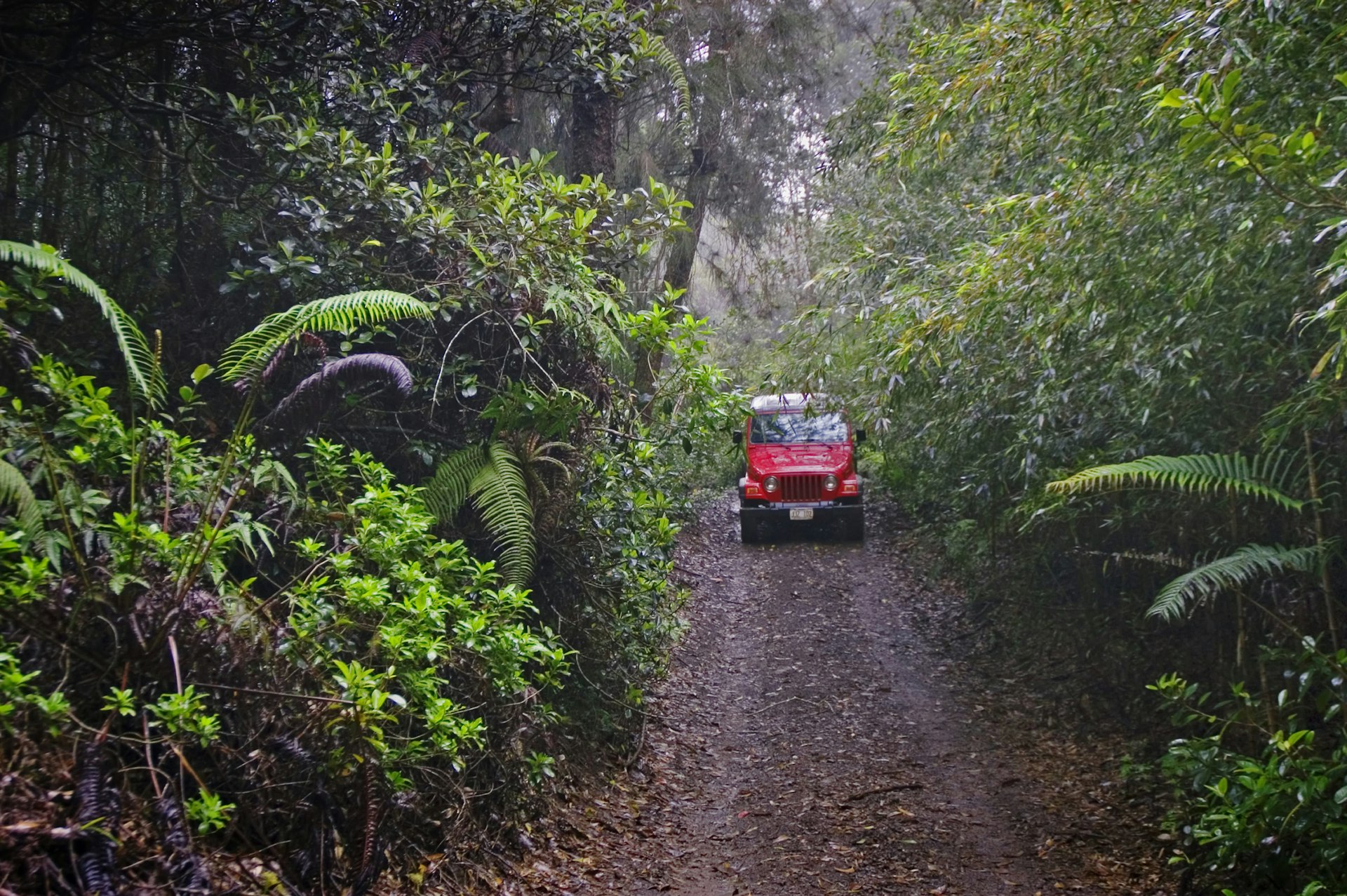 A drive down the Munro Trail in a 4WD vehicle is one of Lana‘i's most exhilarating experiences. Image by Greg Vaughn / Perspectives / Getty