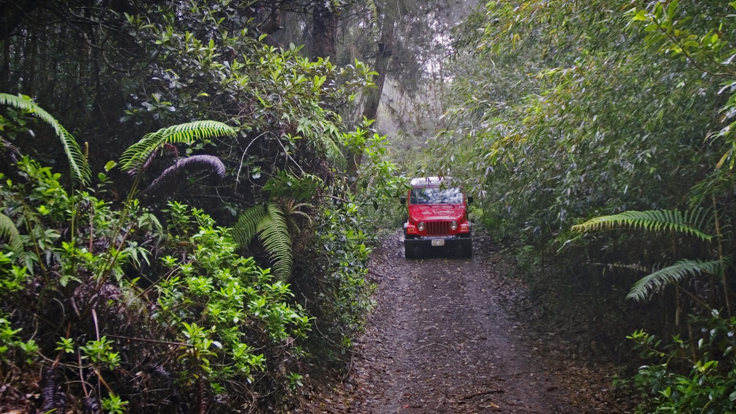 A drive down the Munro Trail in a 4WD vehicle is one of Lana‘i’s most exhilarating experiences. Image by Greg Vaughn / Perspectives / Getty