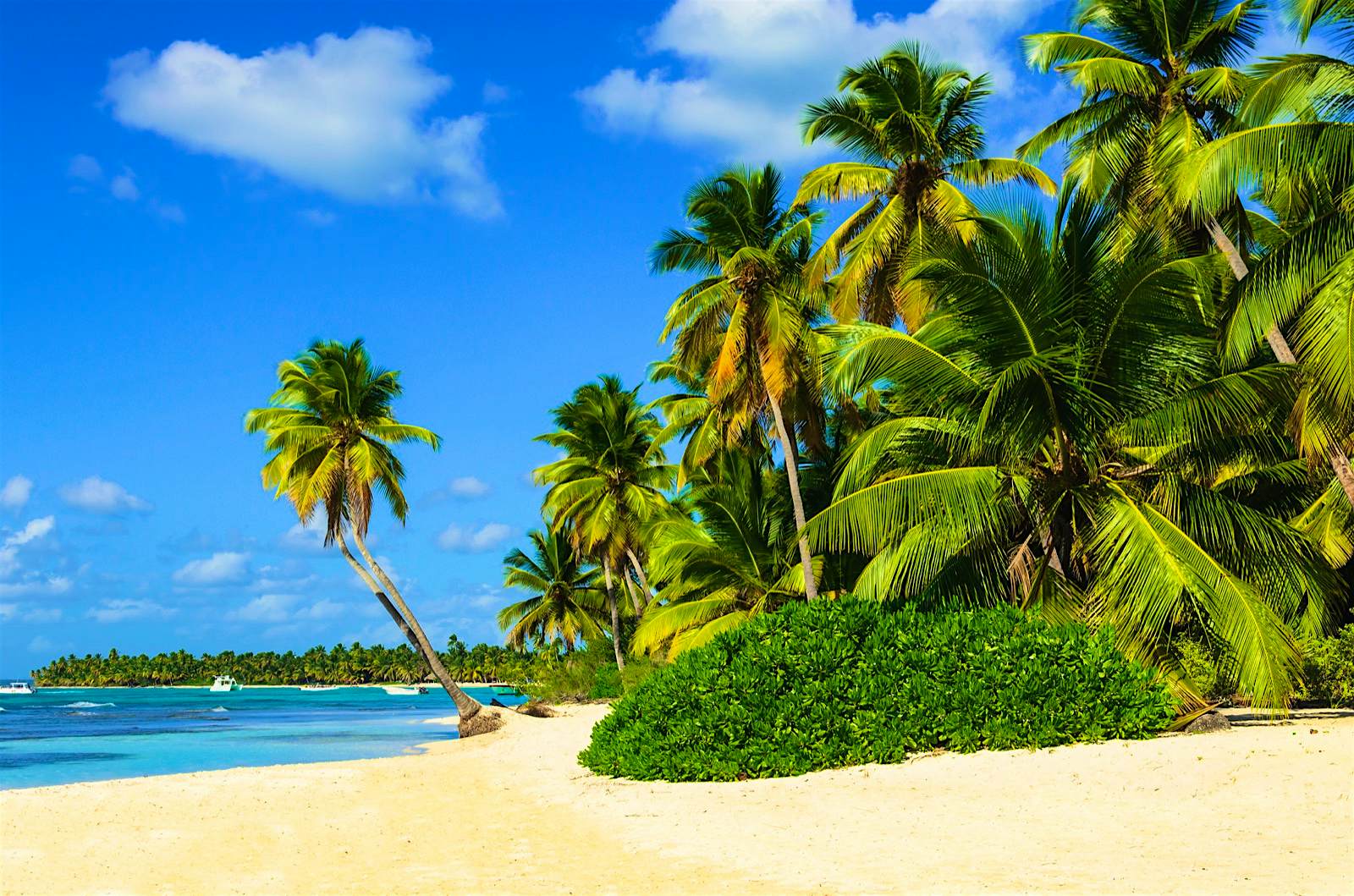 Which Caribbean island is best for you - Lonely Planet