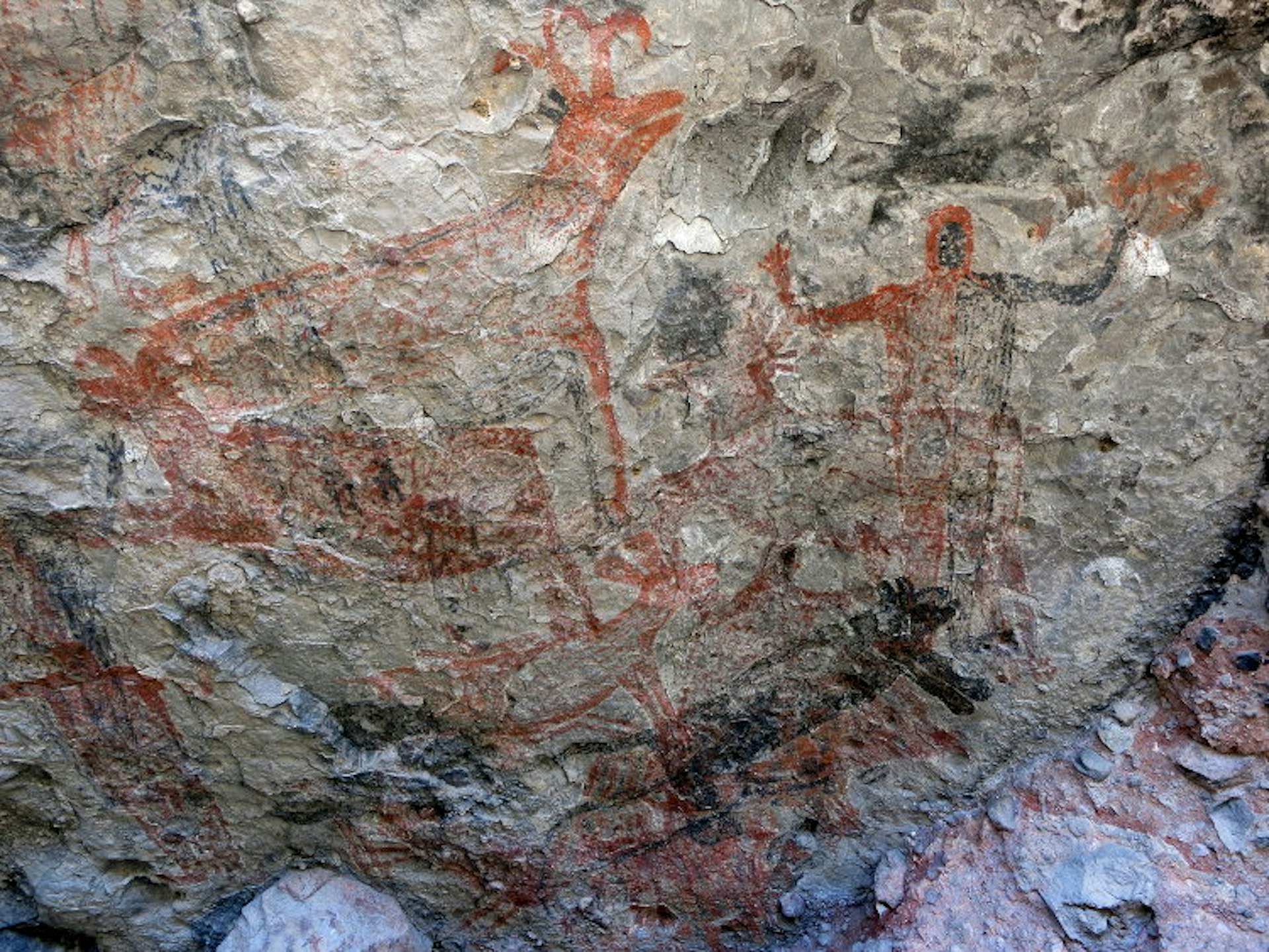 Local animals, shamanistic figures and a puma (not a mouse!) all feature in the Sierra de San Francisco's cave art. Image by Clifton Wilkinson / Lonely Planet