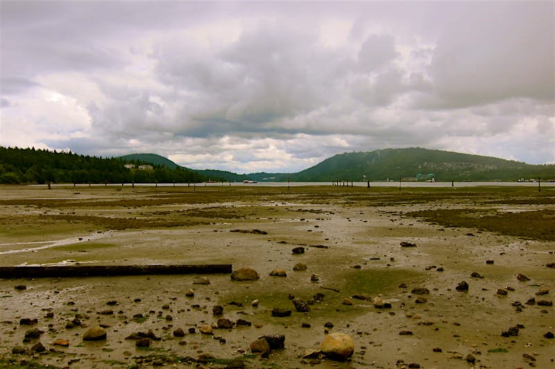 Features - Maplewood-Flats-1-r North Vancouver’s Maplewood Flats is one of many scenic spots for wildlife-watching outside the city. Image by John Lee / Lonely Planet