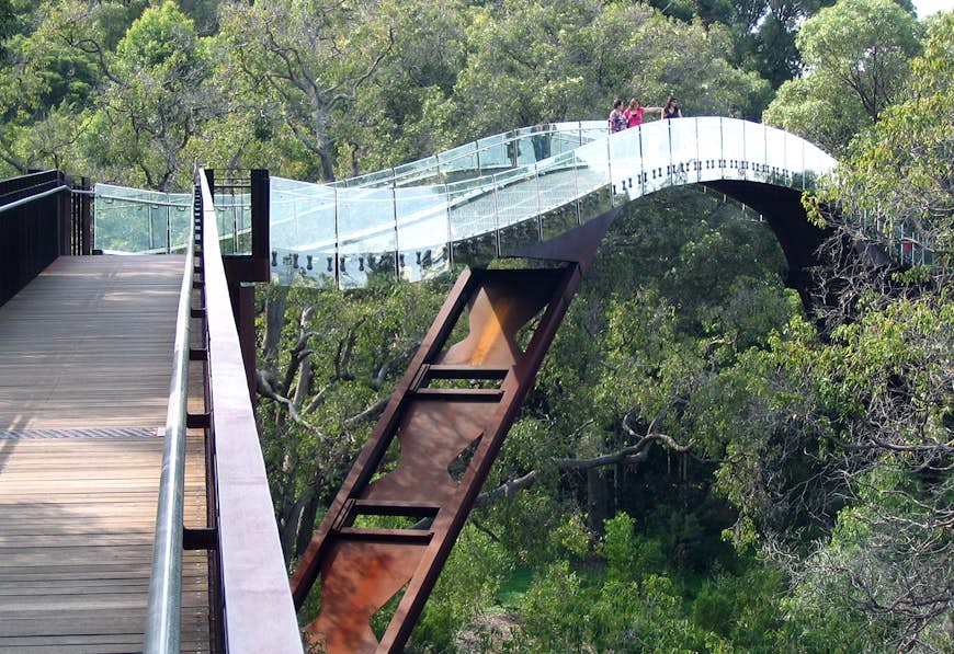 Treetop views along the Lotterywest Federation Walkway in Perth's Kings Park. Image by D. Coetzee / CC BY 2.0