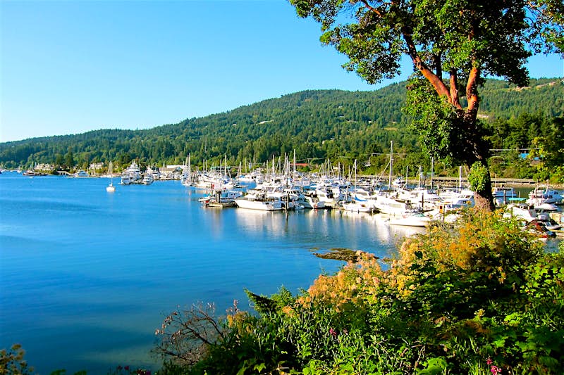 Features - Salt-Spring-1-r Picture-postcard Salt Spring Island is an idyllic floatplane escape from Vancouver. Image by John Lee / Lonely Planet