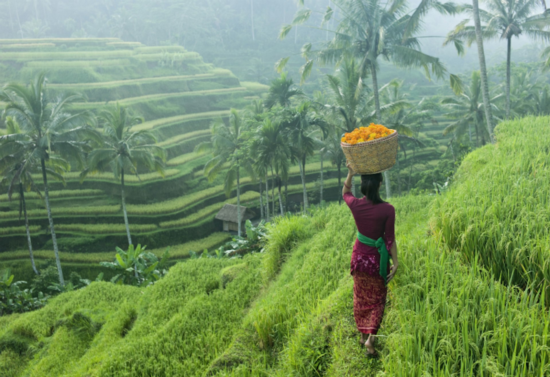 Ubud, Bali: so chilled out, you might never leave. Image by Martin Puddy / Stone / Getty Images