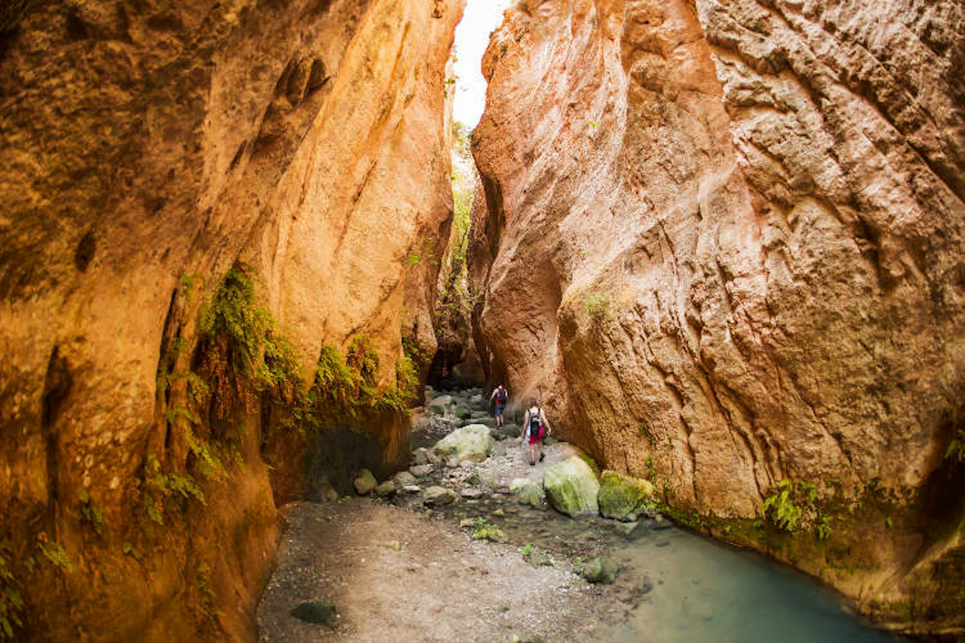 Hiking in the Avgas (Avakas) Gorge on the Akamas Peninsula. Image by Steve Fleming / Getty Images