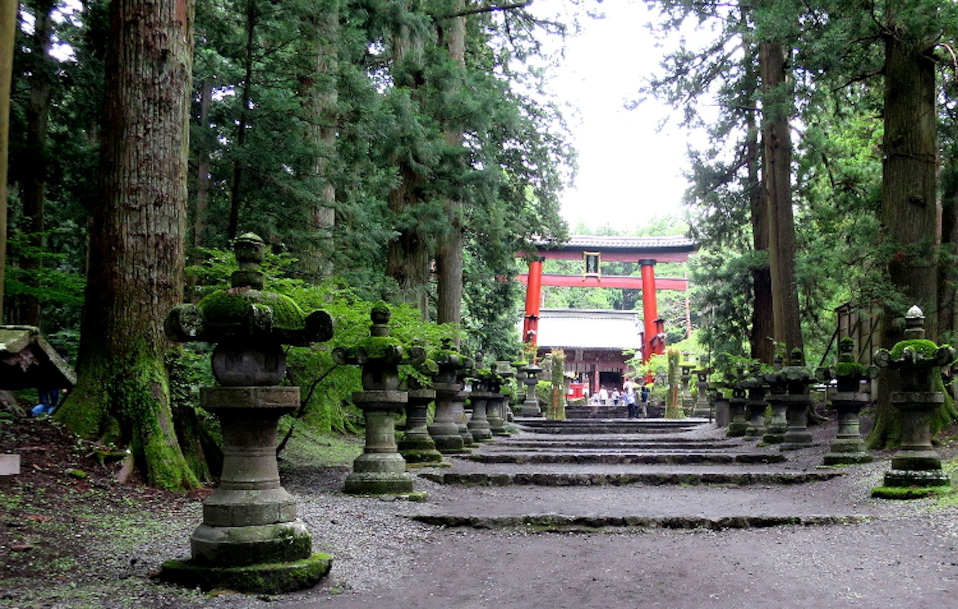 The cedar-lined promenade to the Fuji Sengen shrine. Image by Matt Phillips / Lonely Planet