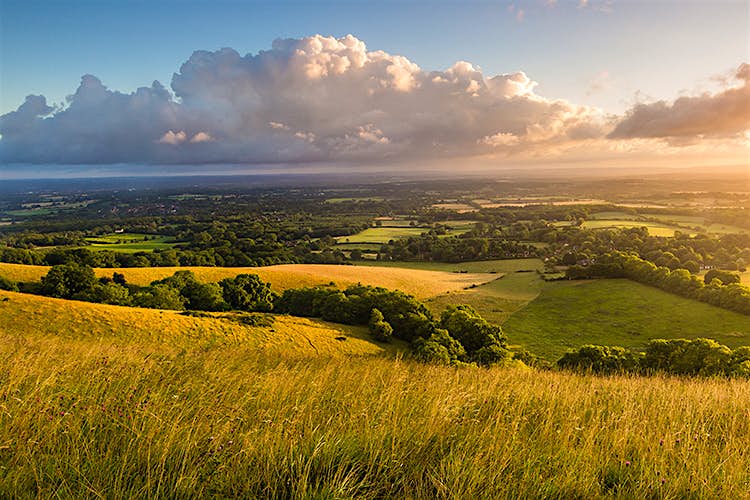 Features - downs_cs The gently rolling countryside of the South Downs. Image by Glenn Driver / Moment / Getty Images
