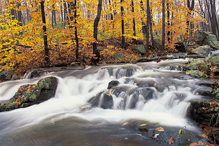 Features - AB71722 Autumn colors in Harriman State Park. Image by Ron and Patty Thomas / Stockbyte / Getty Images