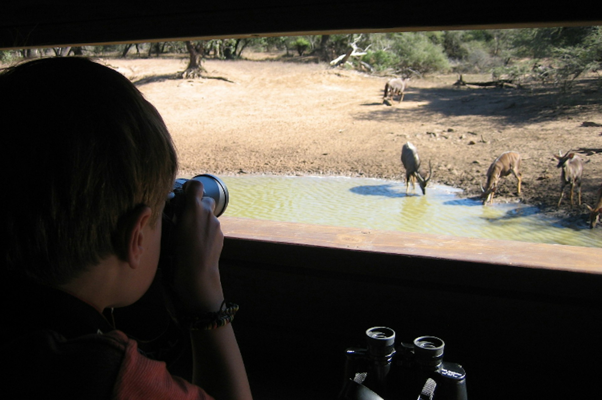 The hides at uMkhuze Game Reserve allow up close wildlife viewing and photography. Image by David Else / Lonely Planet 