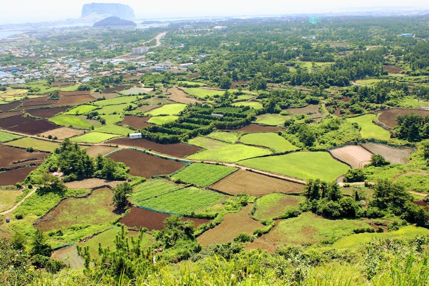 Vast views of the Jeju countryside from the Olle trail. Image by Rob Whyte / Lonely Planet