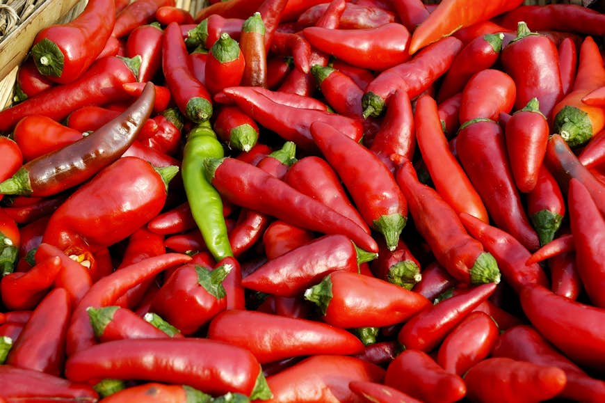 Sìchuān's essential chili peppers. 