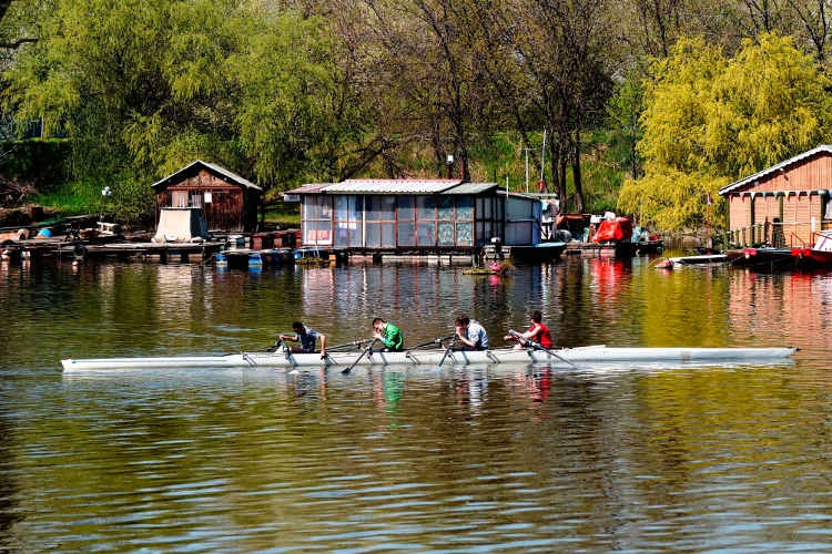 Rowing on the Sava river in Belgrade. Image by Darko / CC BY 2.0