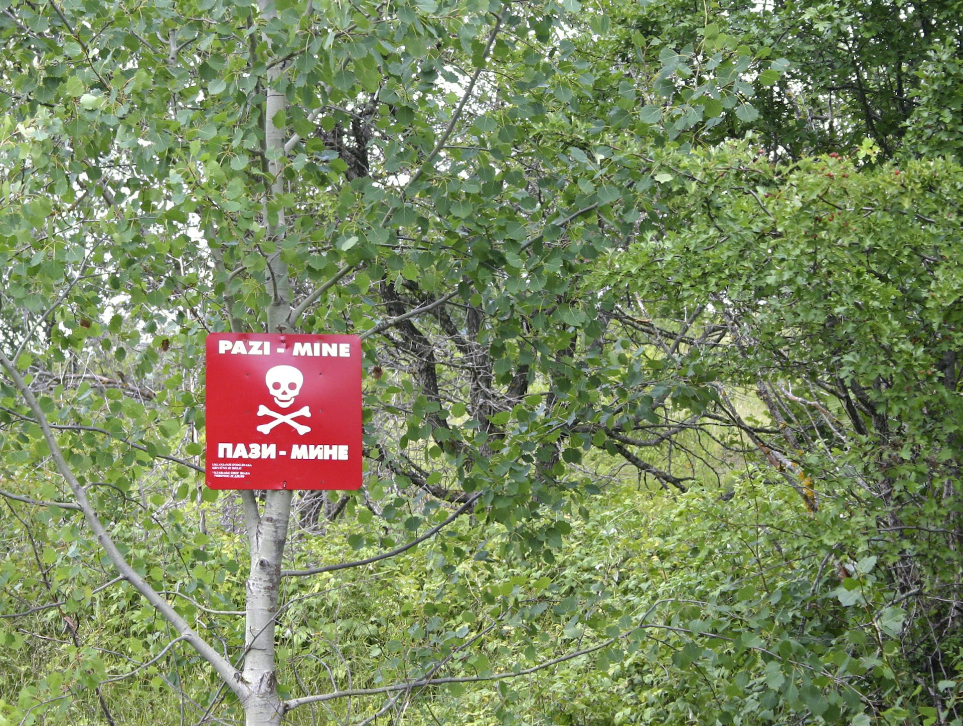 Danger! Land mines! 