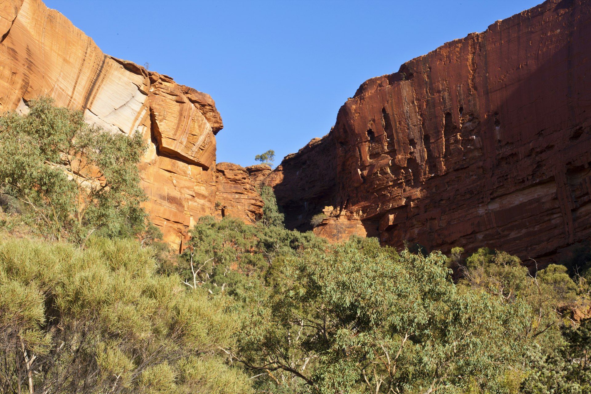 Kings Canyon in Watarraka National Park in the Northern Territory
