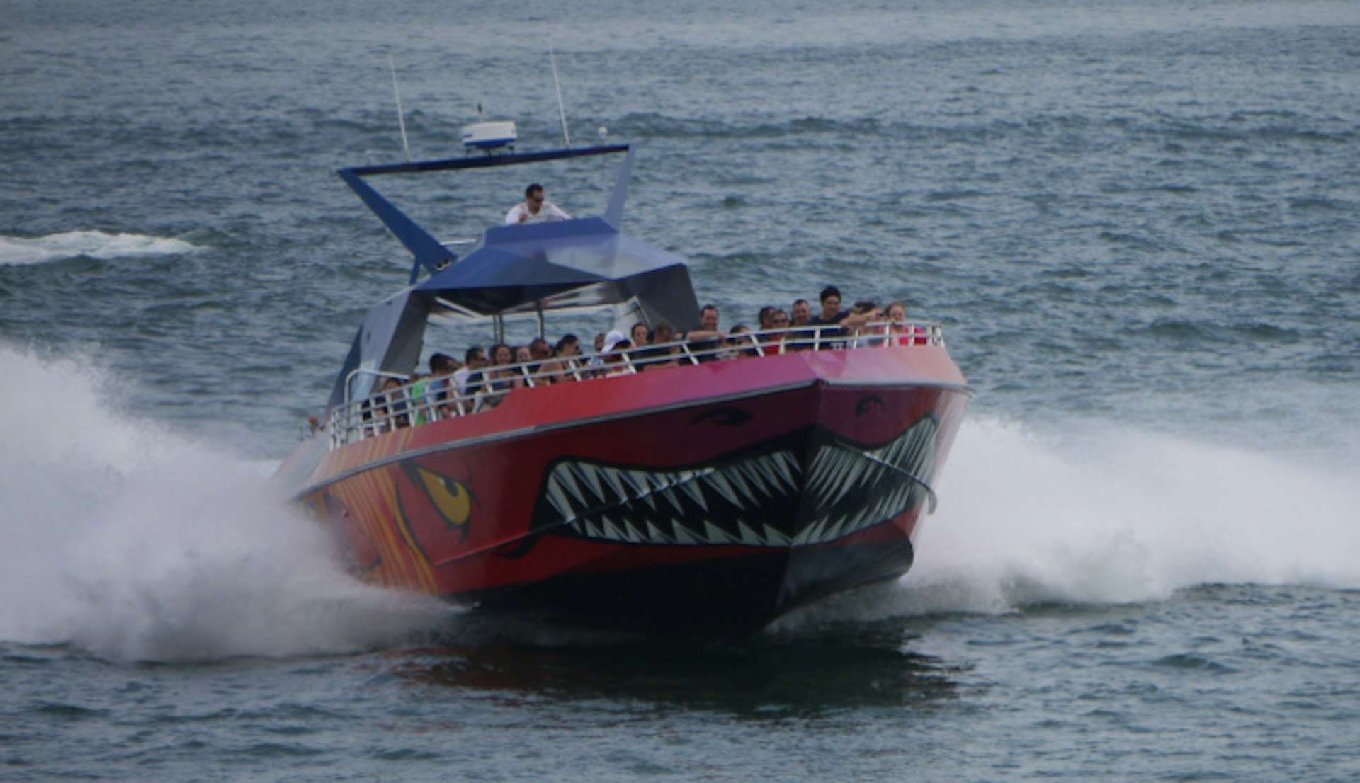 Codzilla doing its zoomy thing. Image by Madeleine Ball / CC BY-SA 2.0