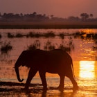 Features - 160869730_20(1)