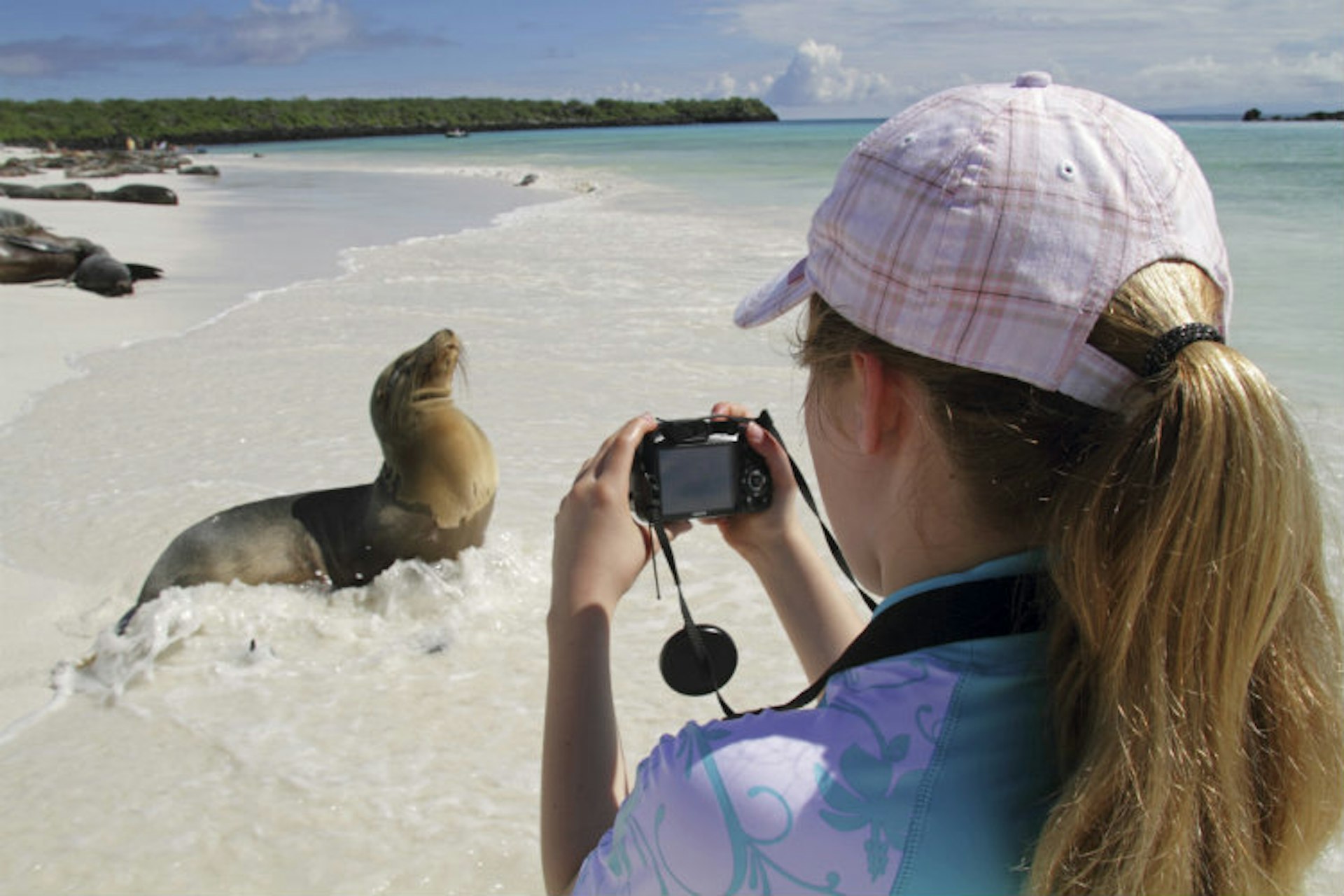 Girl photographing sea lion, Gardner Bay, Espanola, Galapagos Islands, Ecuador