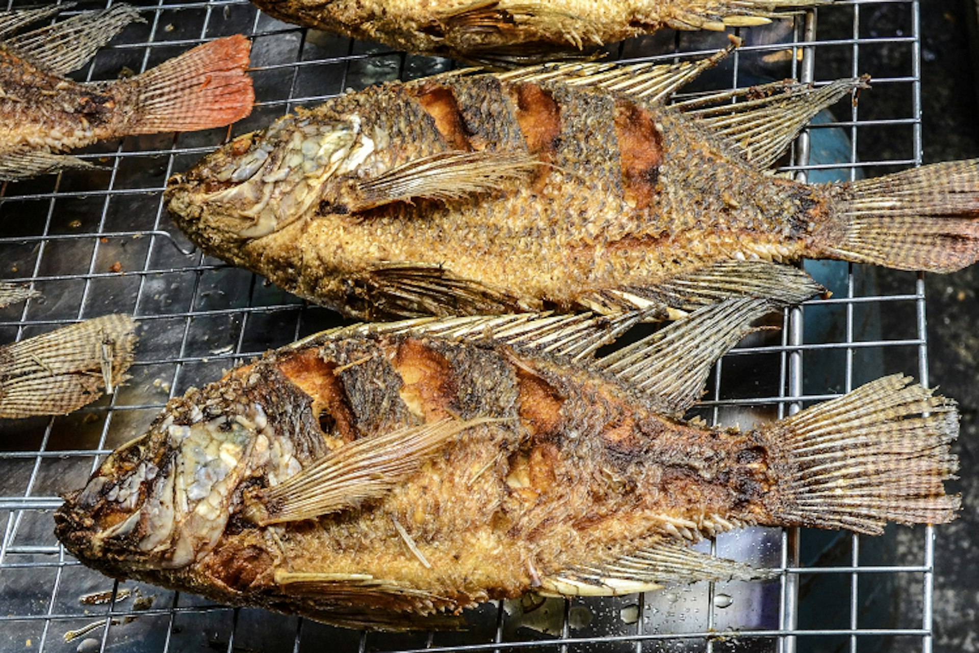 Barbecued fish, Malaysia. 