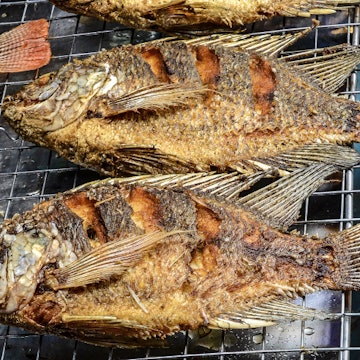 Barbecued fish, Malaysia.