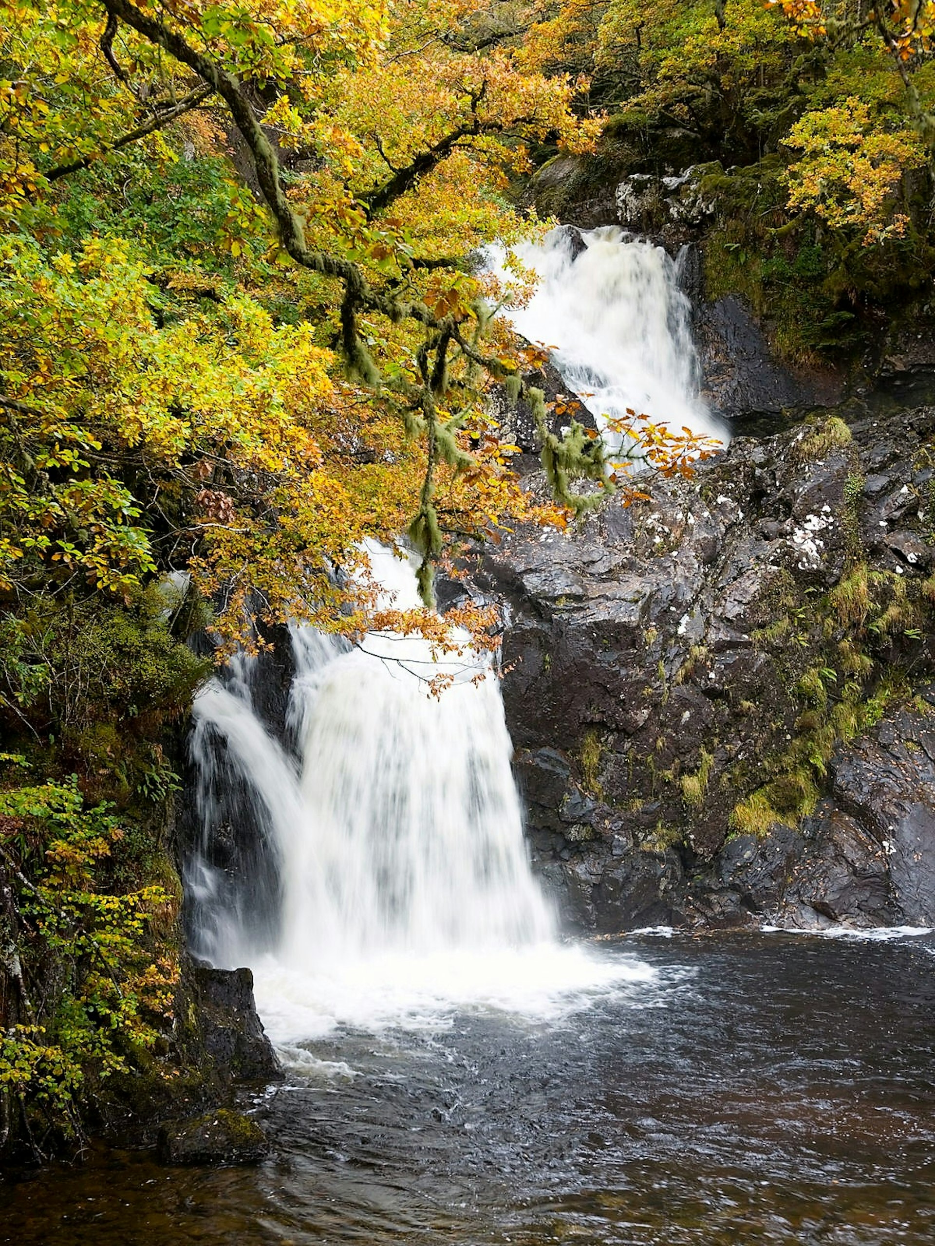 Loch Arkaig has many a photogenic spot © David C Thomlinson / Lonely Planet Images / Getty Images