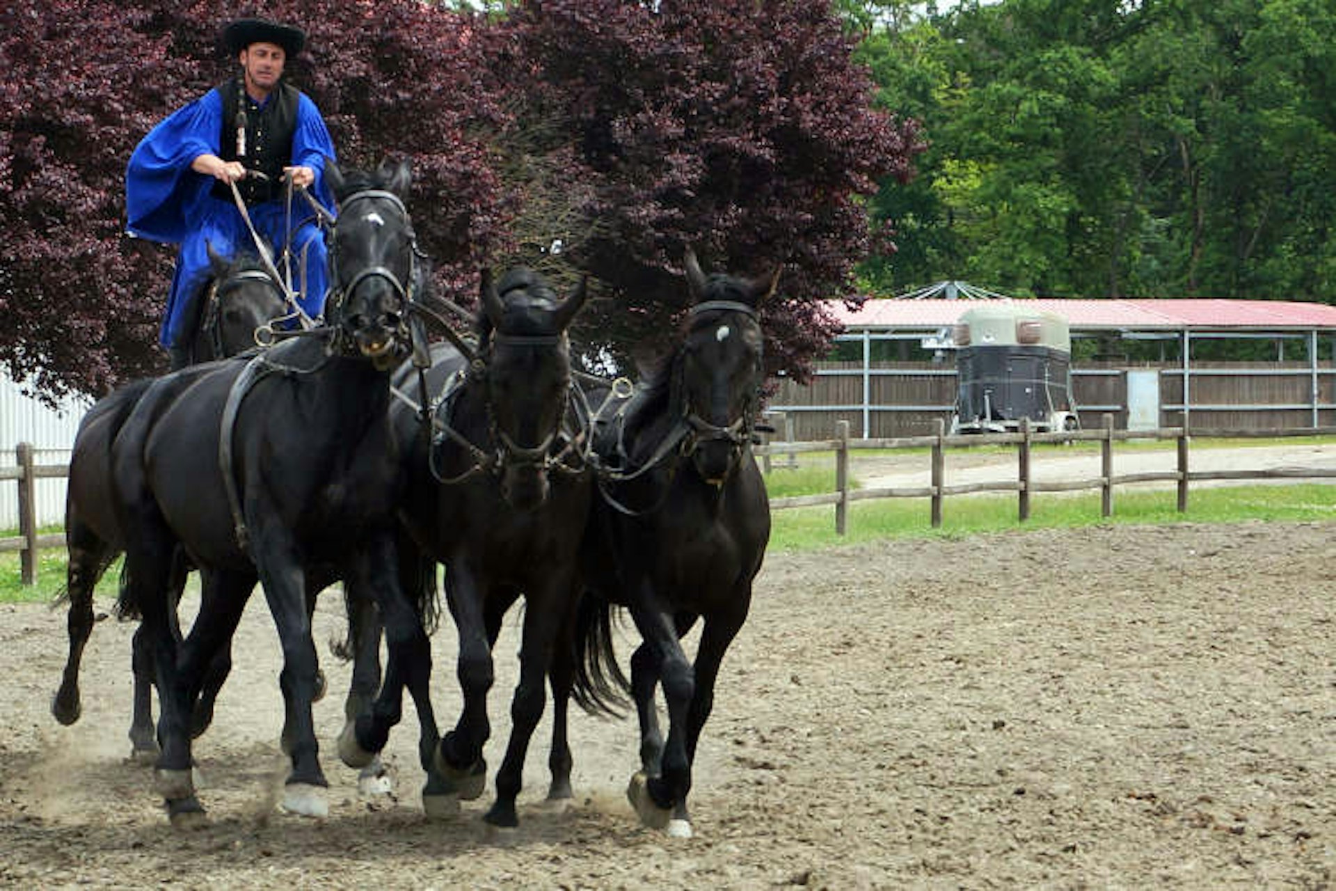 A display of Hortobágy horsemen's equestrian skills. Image by Anita Isalska / Lonely Planet