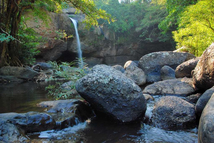 Khao Yai National Park, Thailand. Image by Theerawat Sangprakarn CC BY 2.0