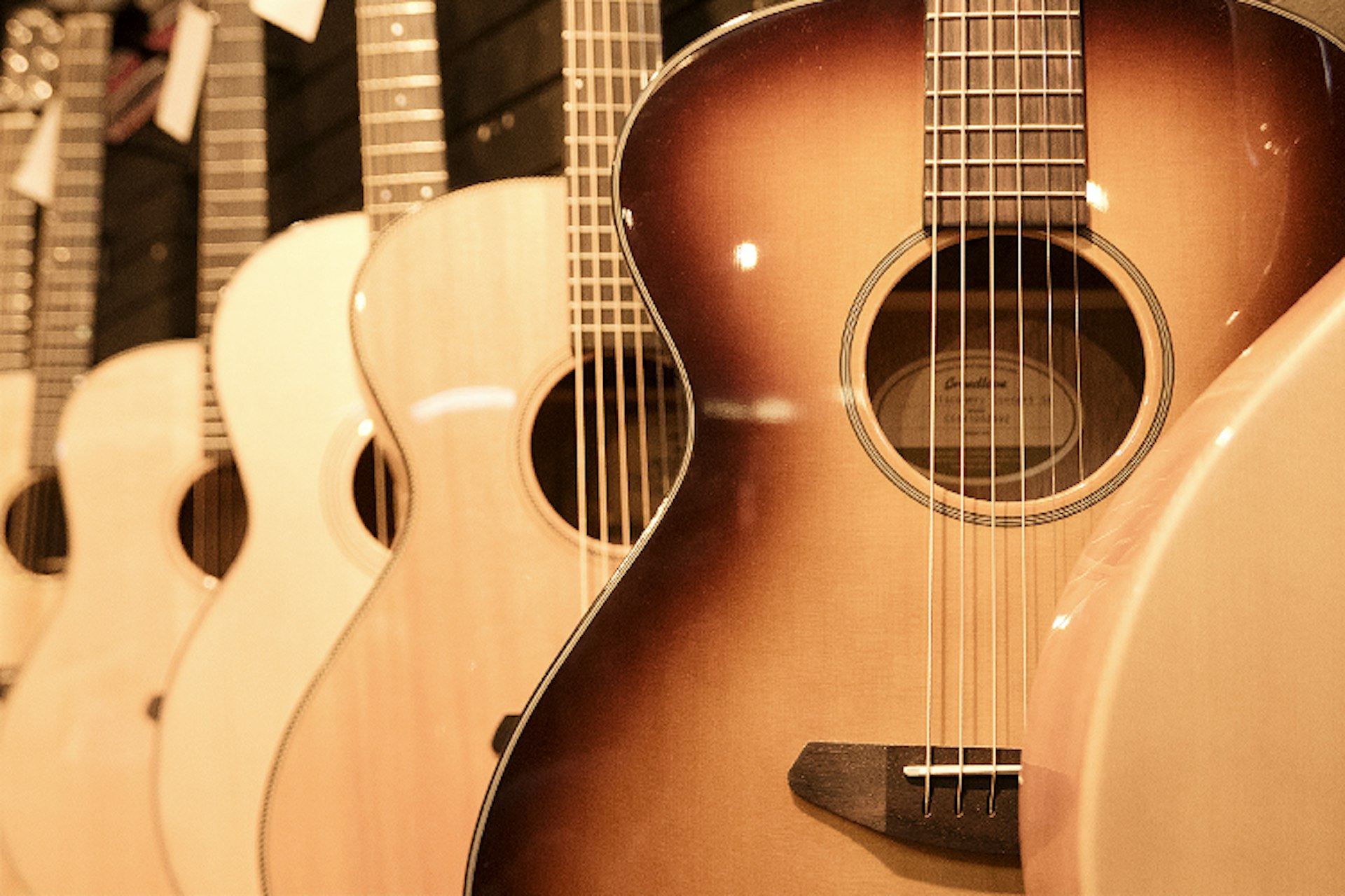 Acoustic guitars for sale at Corner Music. Image by Dora Whitaker / Lonely Planet