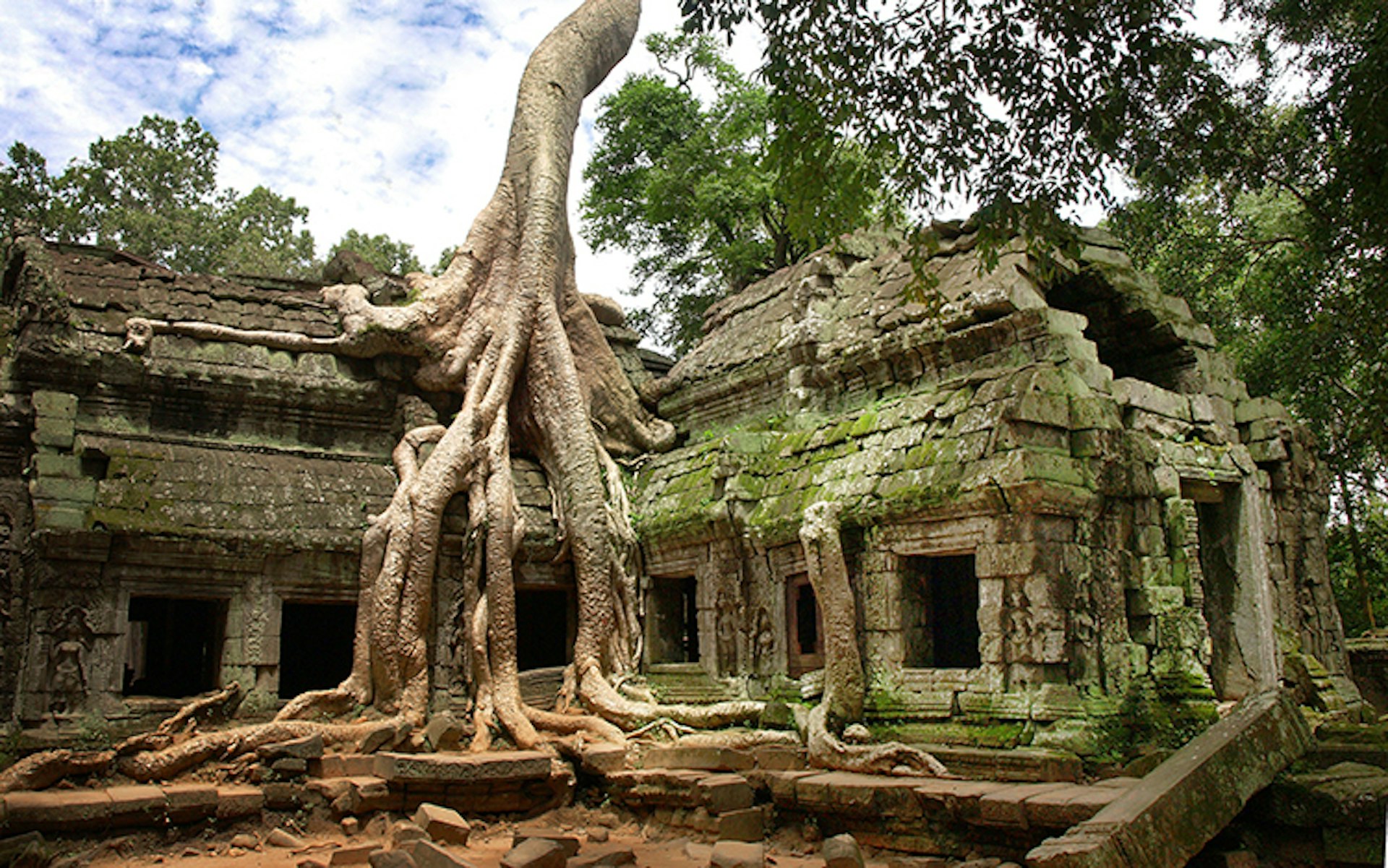 The creeping roots of spung trees add to the atmosphere of Ta Prohm's crumbling temples. Image by Ignacio Palacios / Lonely Planet Images / Getty Images