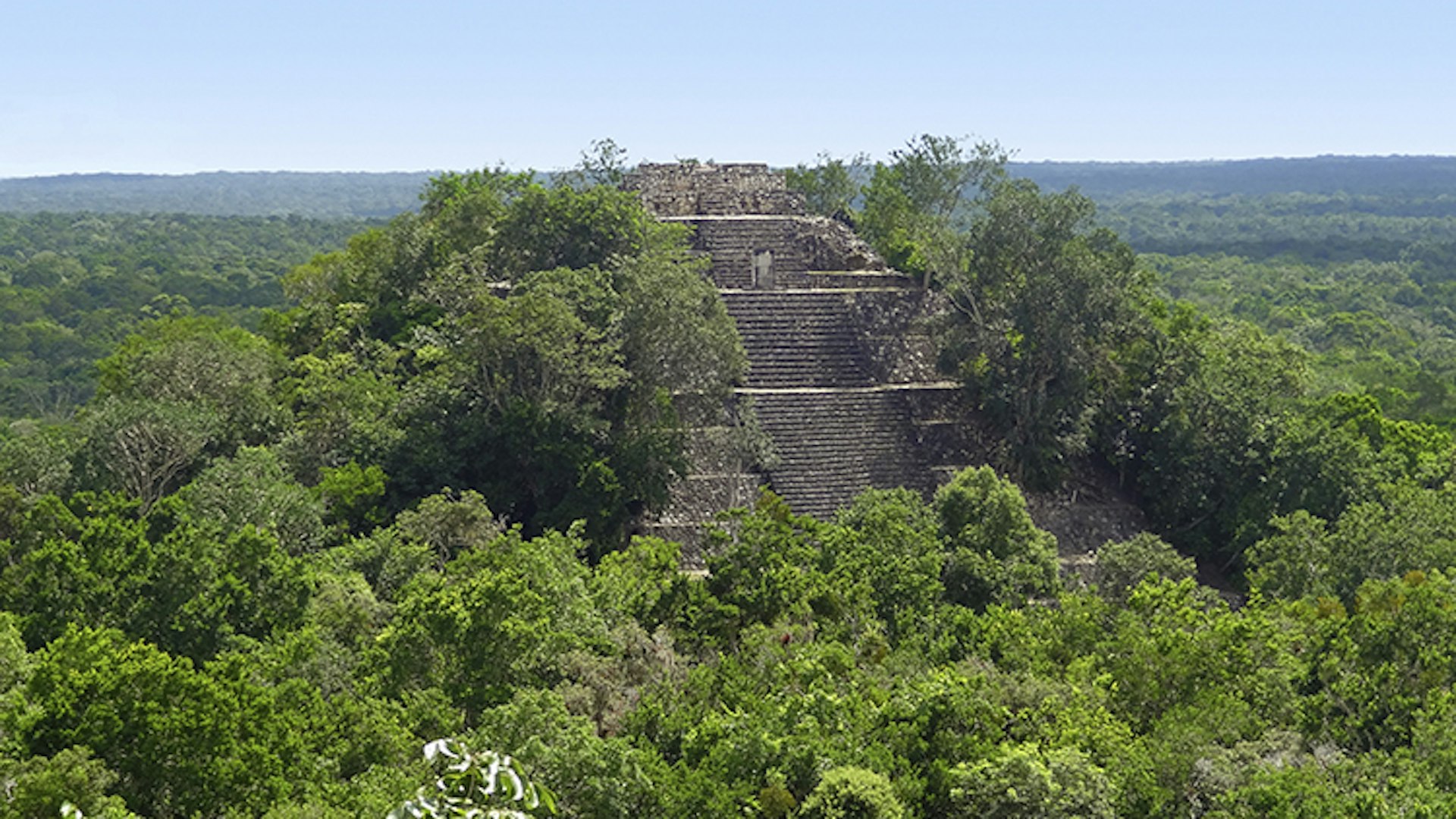 The pyramids of Calakmul – the tallest in Mexico – poke out of the surrounding jungle. Image by Prill Mediendesign & Fotografie / iStock / Getty Images
