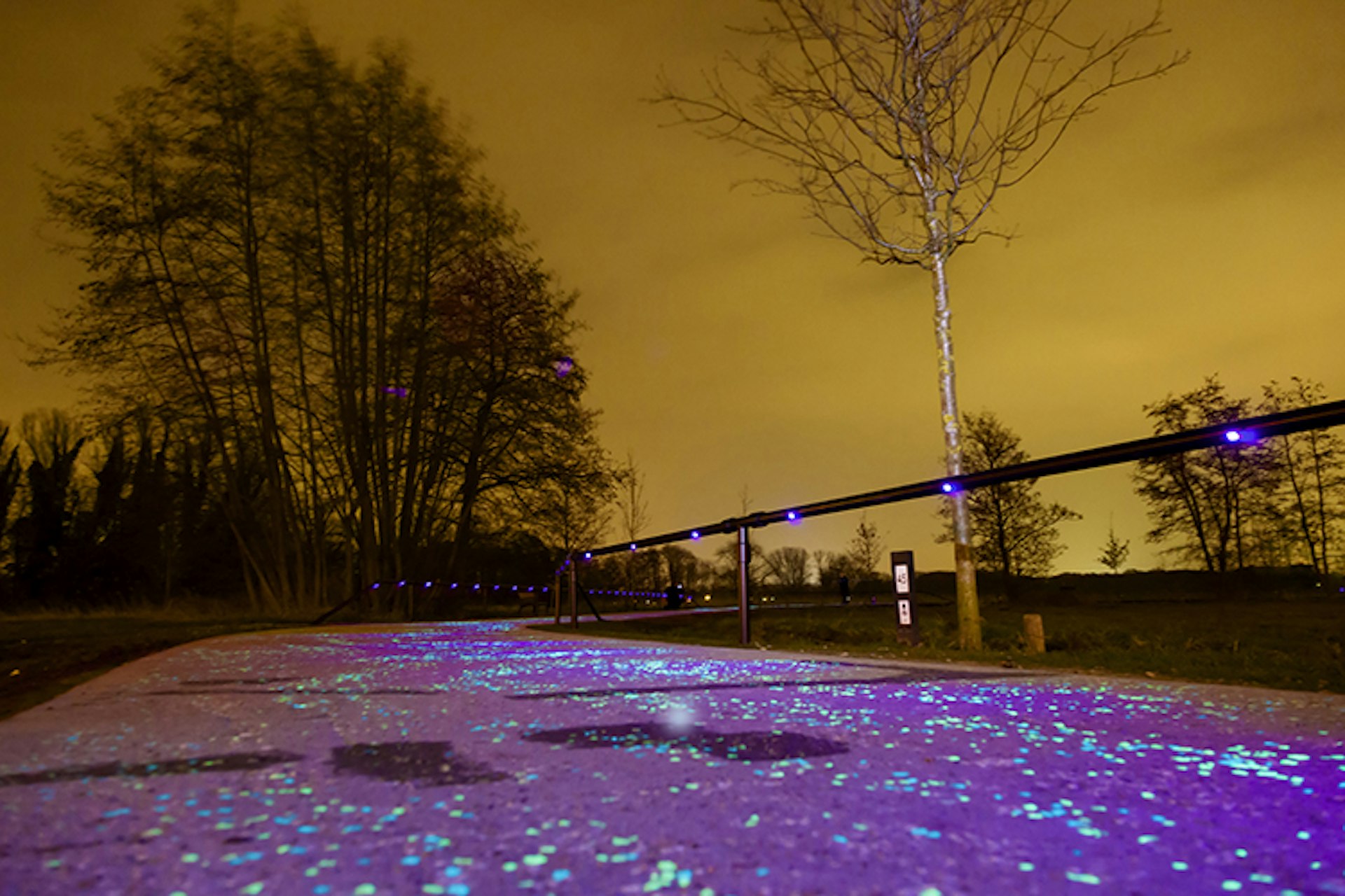 An illuminated cycle path in Nuenen inspired by Van Gogh's Starry Night