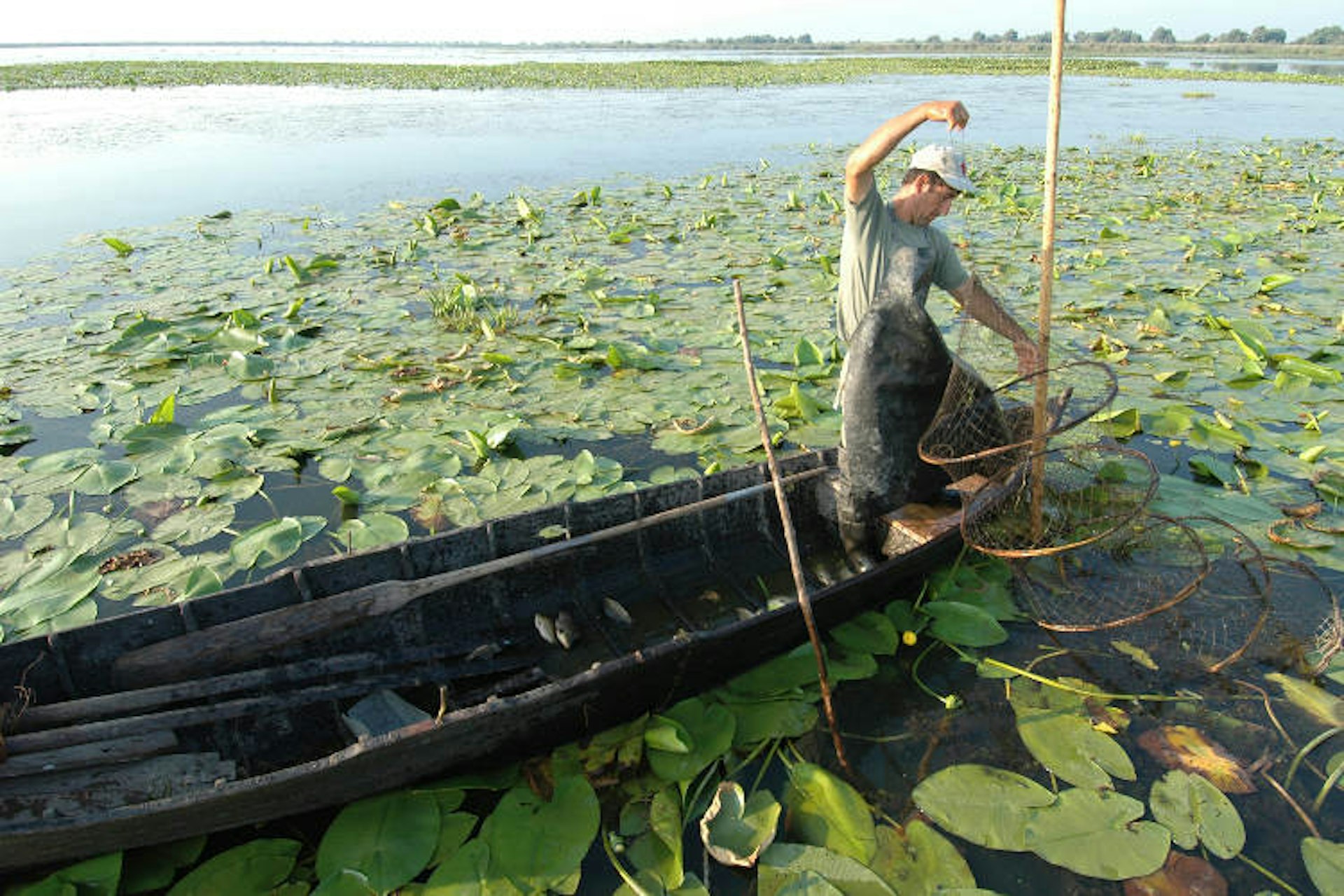 Canoe fishing among water lilies on Lake Isac in the Danube Delta. Image by Eye Ubiquitous / Universal Images Group / Getty Images