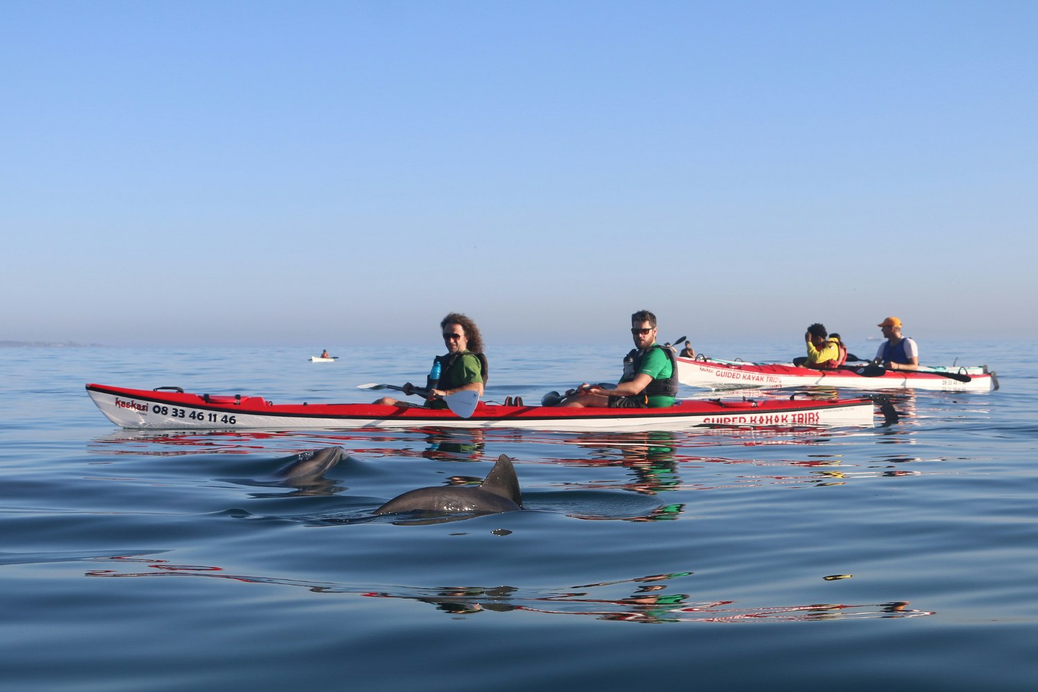 Heaviside’s dolphins swarming around kayaks, Cape Town. Image by Simon Richmond / Lonely Planet