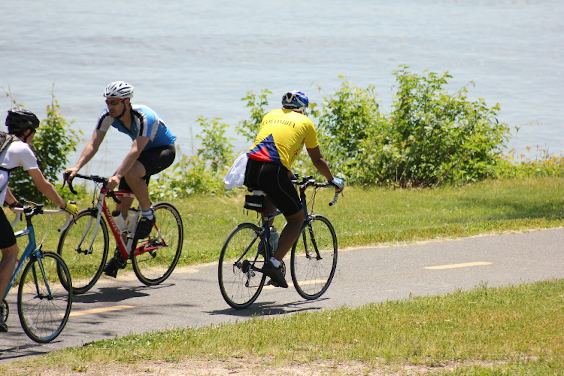 Verdant Mount Vernon Trail makes for some fine riding close to DC. Image by Elvert Barnes / CC BY-SA 2.0