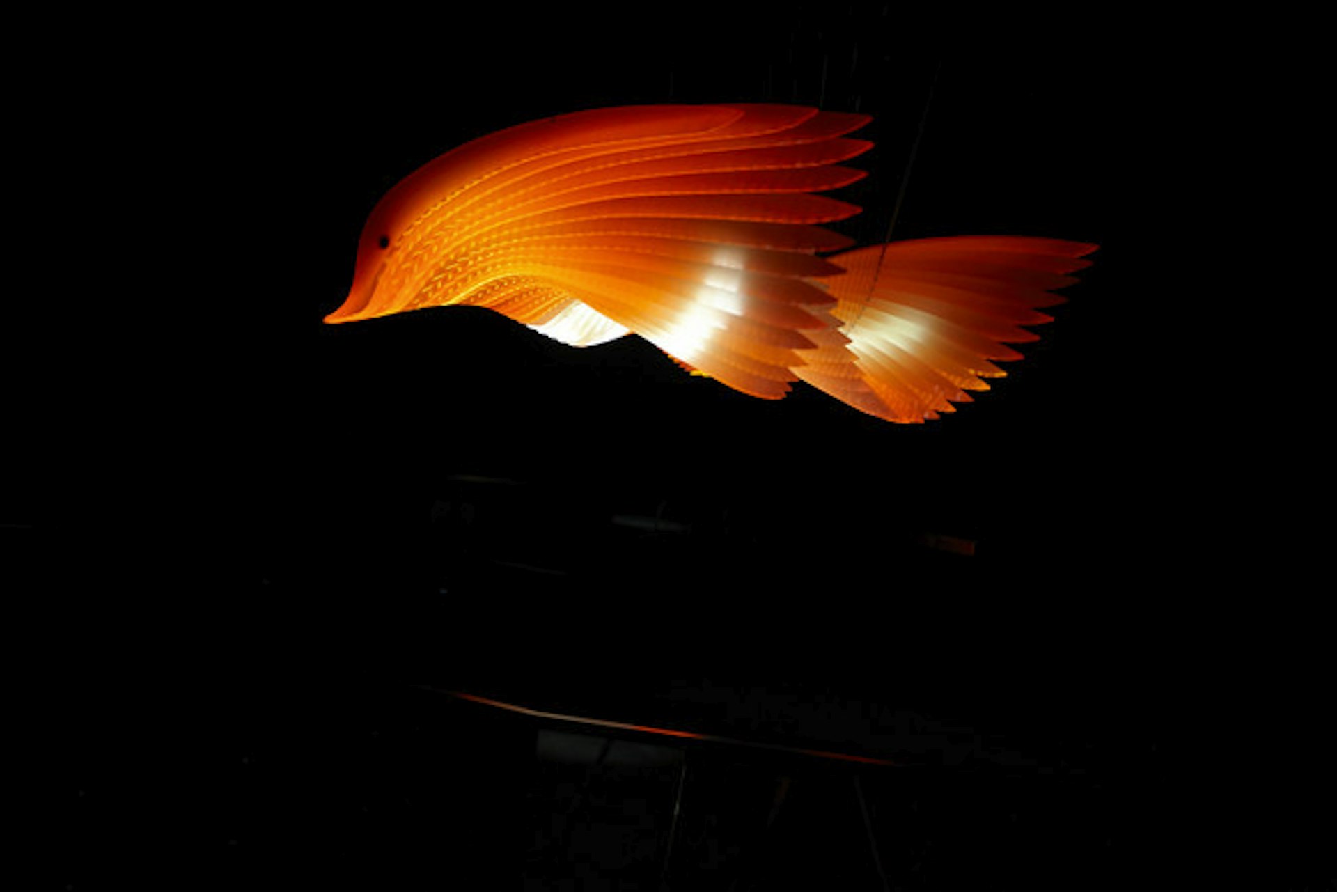 Bunjil's wing, a kinetic sculpture in First Peoples exhibition, Bunjilaka, Melbourne Museum/ Image by Jon Augier / ENESS 