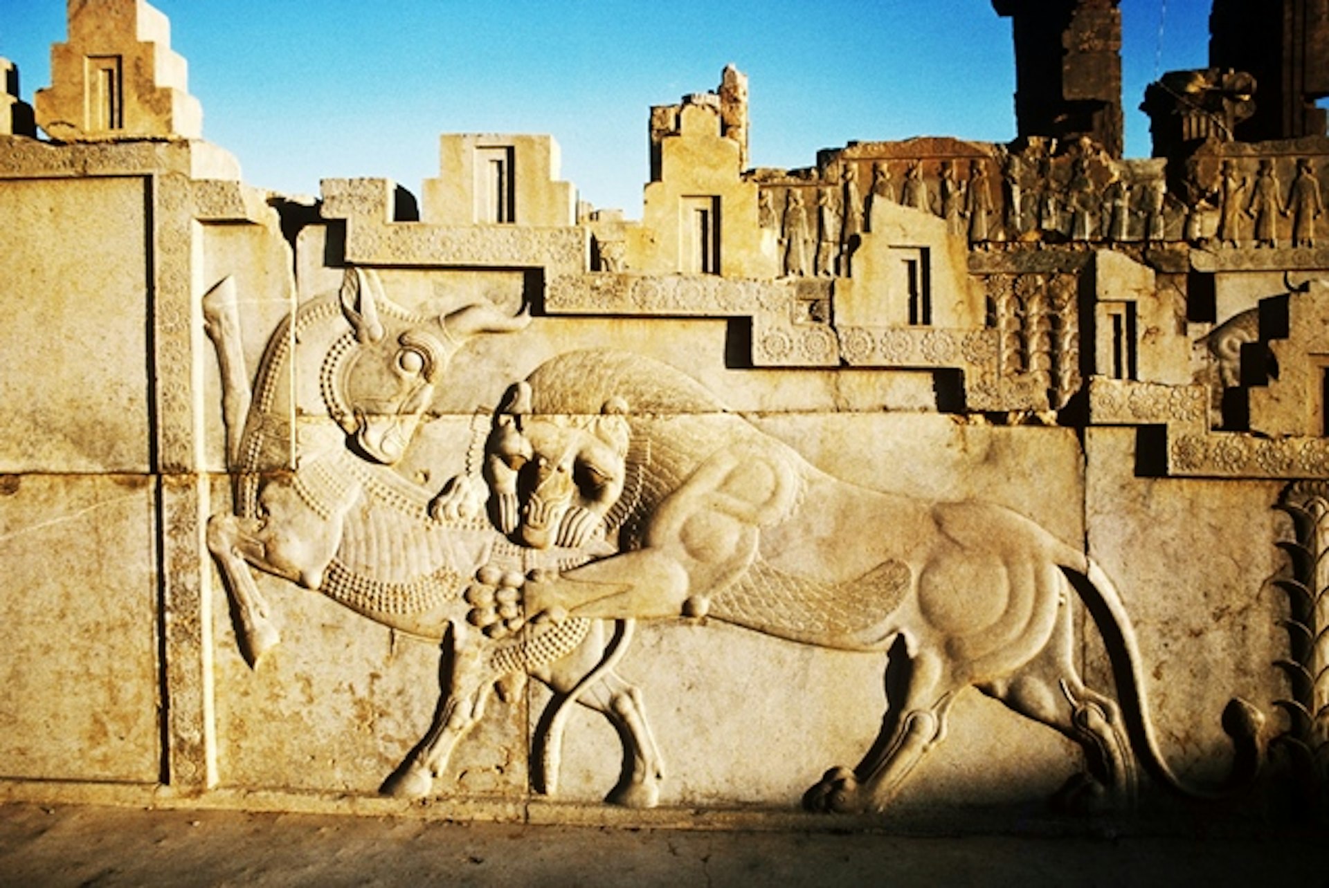 A relief of a lion attacking a deer on the walls of the Apadana Palace. Image by Getty/science Source/ Farrell Grehan