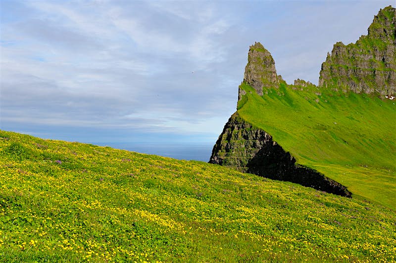 Features - Hornstrandir Hornstrandir, a truly wild peninsula in the Westfjords. Image by Erik-Jan Vens / CC BY-SA 2.0