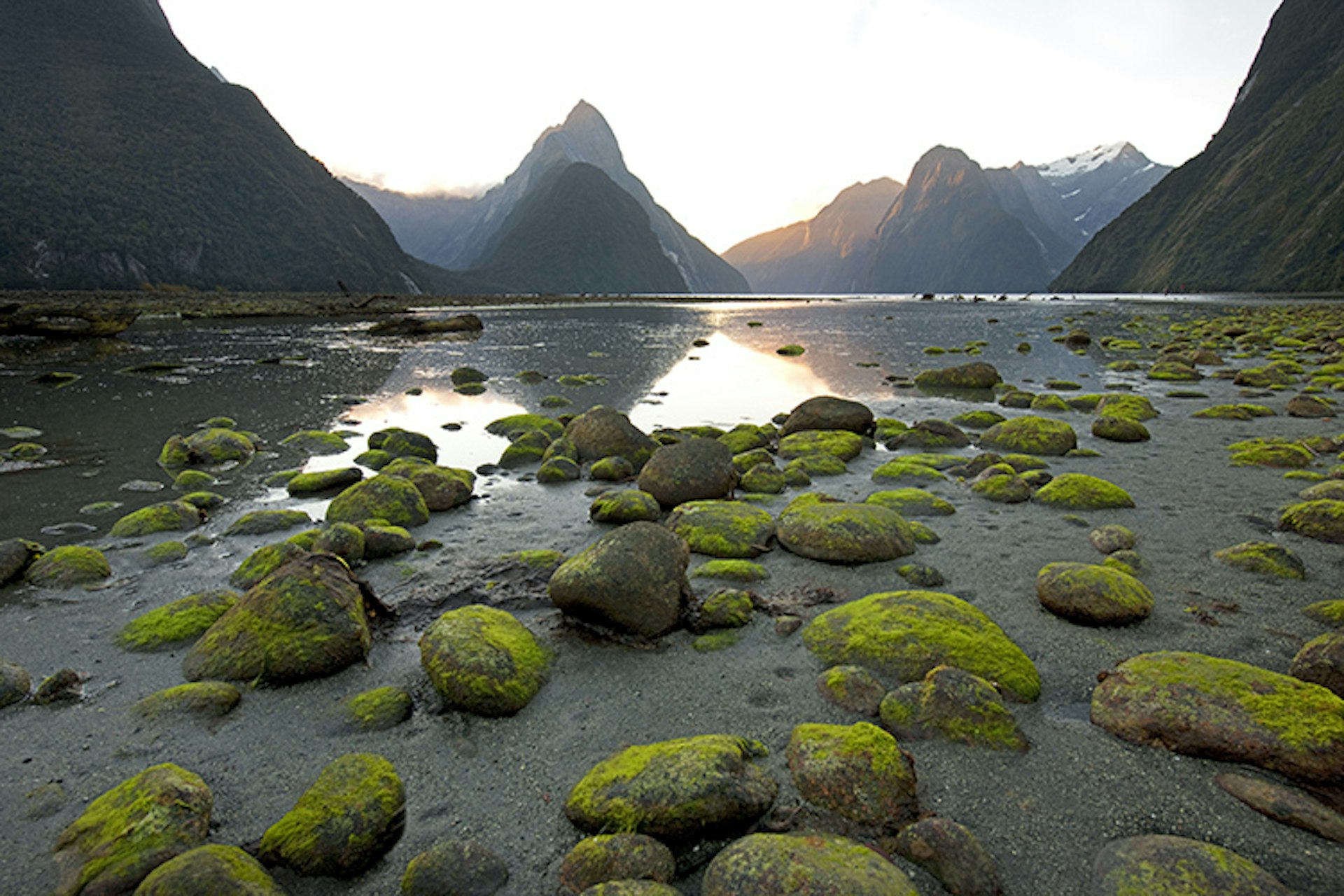 Moss covererd rocks in inlet off Milford Sound with Mitre Peak in background.