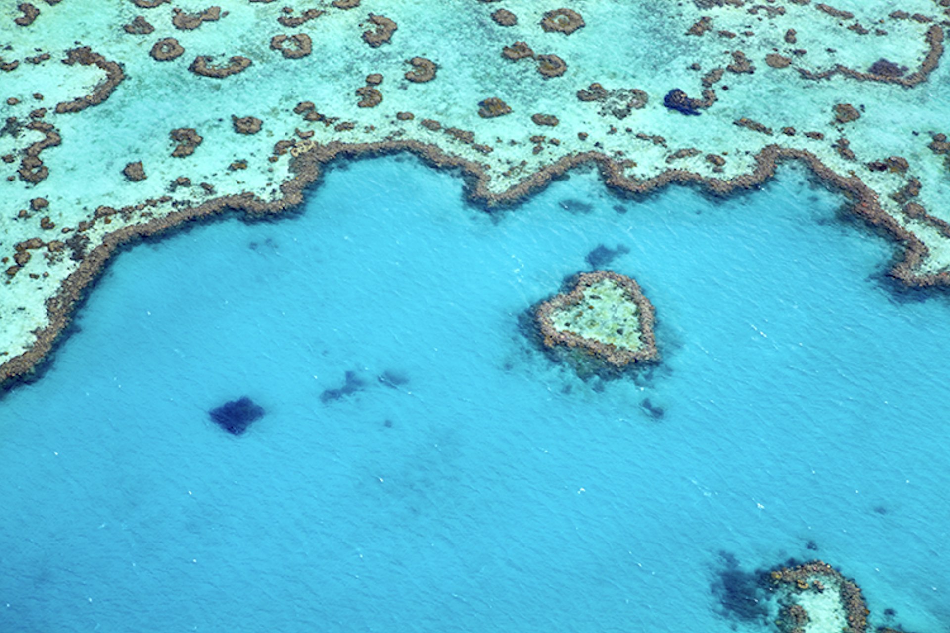 Aerial view of Heart Reef on Great Barrier Reef near Whitsunday Islands.