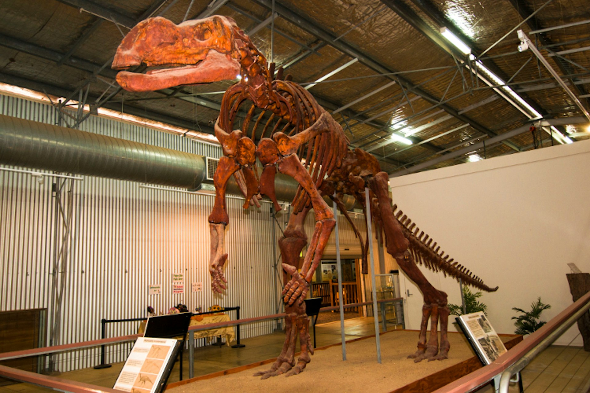 muttabarrasaurus_750