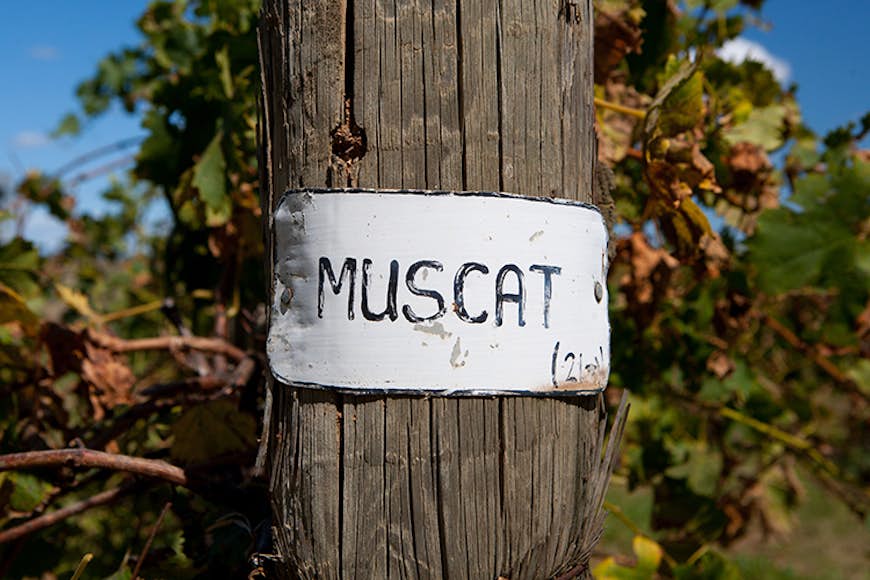 A sign for a Muscat winery in Rutherglen, Victoria, Australia