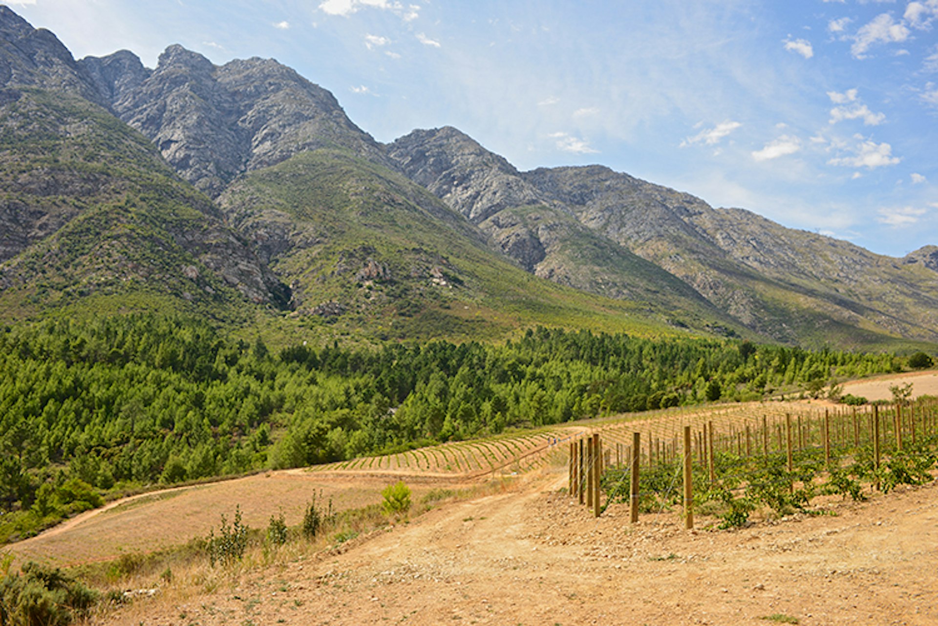 The Tulbagh Valley