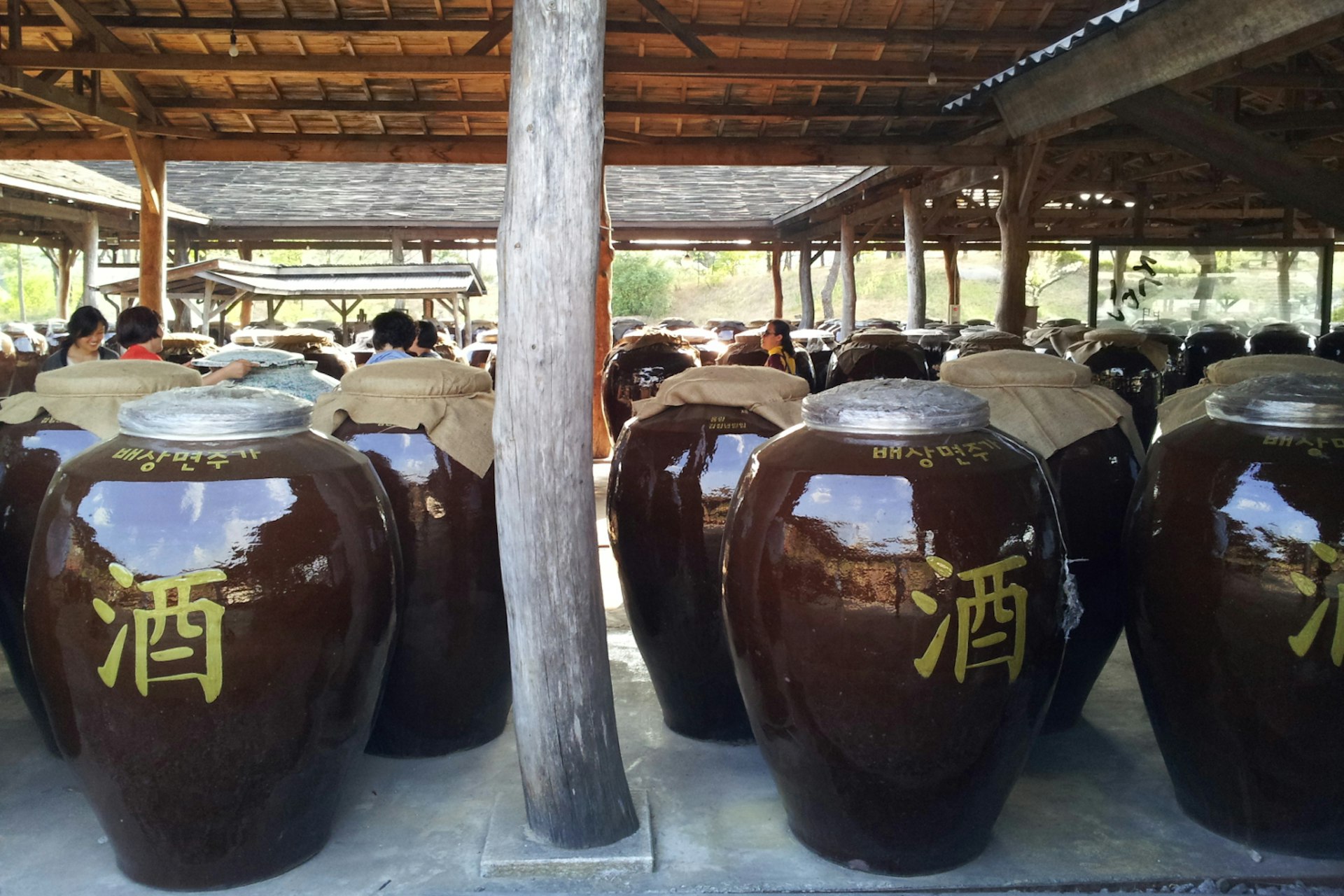 Vats of fermenting soju at Sansawon Brewery. Image by Trent Holden / Lonely Planet