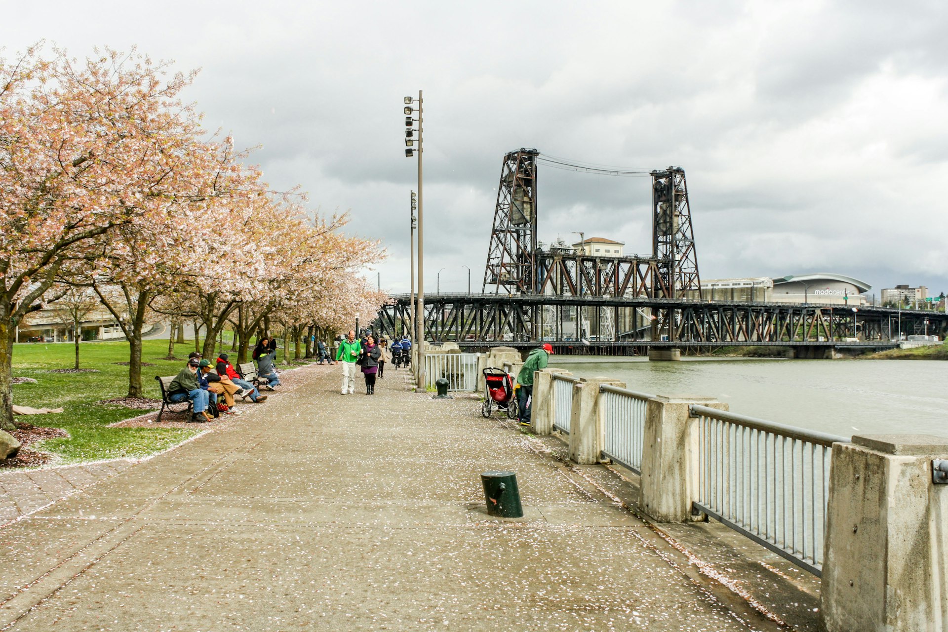 Tom McCall Waterfront Park was one of the first examples of freeway removal, an urban policy plan to improve quality of life for residents. Image by Alexander Howard / Lonely Planet